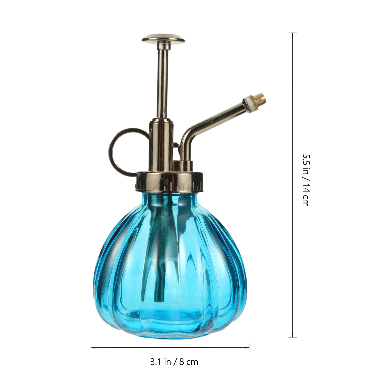 

2pcs Glass Mini Watering Can Flower Water Spray Bottle For Succulents Transparent Plant Spout Easy Small Plants Home