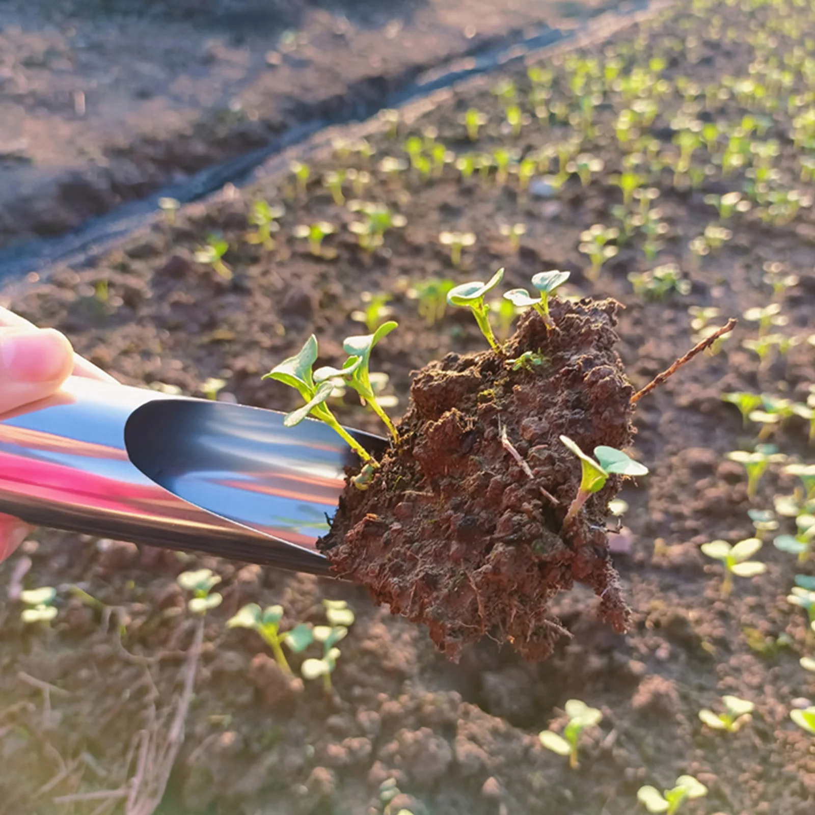 

Stainless Steel Shovel Lightweight Portable Garden Tool For Planting Flowers Vegetables Succulents Soil Scoops Cultivation