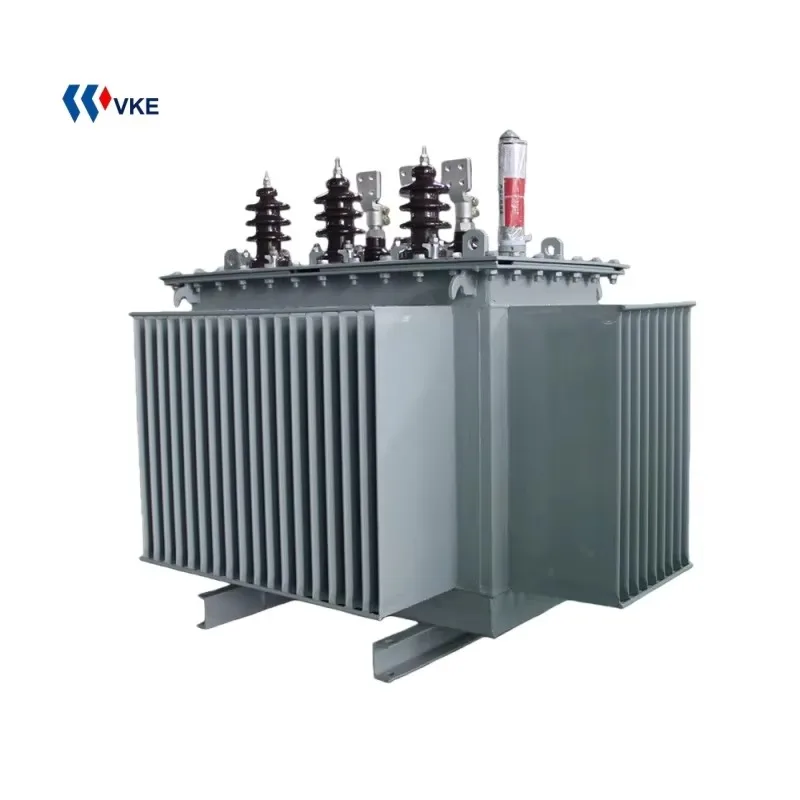 IEC Standard Medium High-Voltage Oil-filled Transformer 1000kVA 11/0.4kV Oil Immersed Distribution Transformer