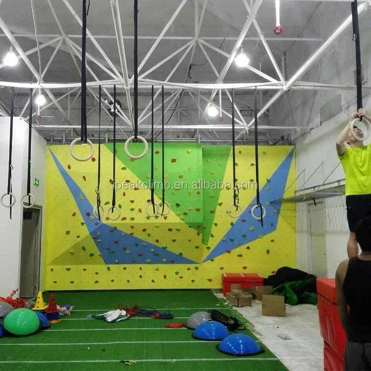 Best quality rock climbing wall indoor for gym! Customized design accepted!