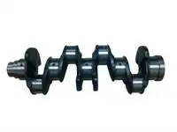 Store code: 1124 EURO 5 crankshaft DUCATO MULTIJET F1AE DAILY KARSAN J10 EURO 4 EURO 5