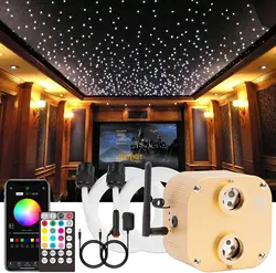 Fiber Optic Light Smart Bluetooth APP Control 20W TWINKLE RGBW Dual Head Ceiling Stars Lights 800pcs Cable