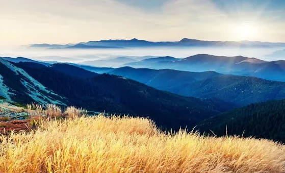 

Sulong SL301 1:14 4WD Alloy RC Car, внедорожный альпинистский грузовик, высокоскоростная игрушка с дистанционным управлением для мальчиков и девочек, детей