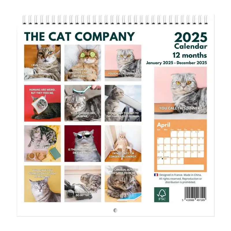 Monthly Cat Wall Calendar 2025 Unhappy Cat Calendar 12 Months Decoration Tool With Beautiful Illustrations For Bedroom Apartment