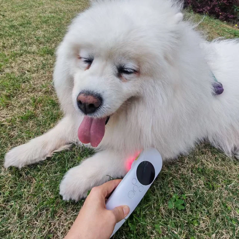 

880mW Professional Cold Laser Device 808nm 650nm Dual Wave Physiotherapy for Deep Tissue Pain Relief & Muscle Relaxation