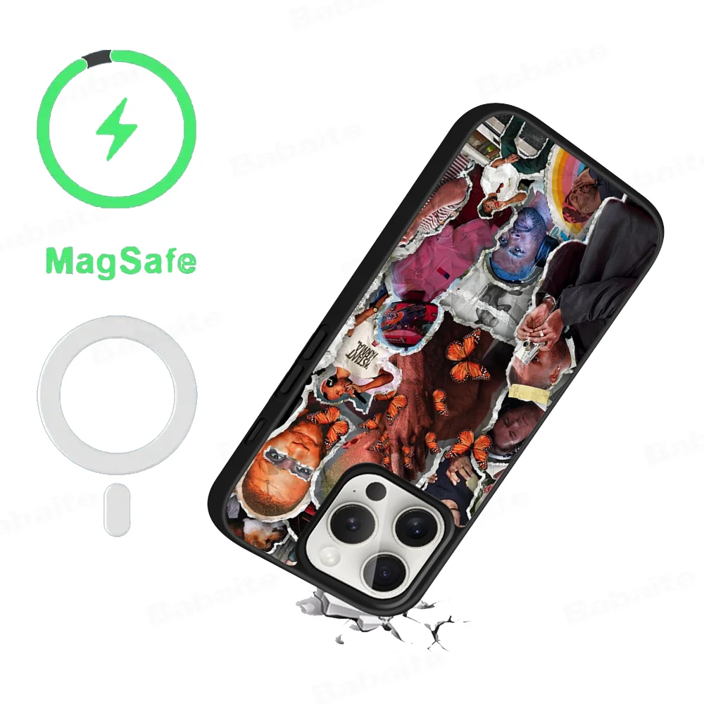 Singer Frank Blonde Oceans Hot Phone Case Magnetic Case For IPhone 16 14 13 12 11 15 Pro Max Plus For Magsafe Wireless Charge