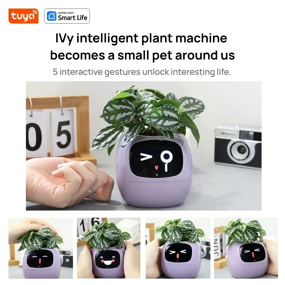 Smart Planter,Endless Fun Over 49 Rich Expressions,7 smart sensors,AI Chips Make Raising Plants Easy and Fun hamster supplies