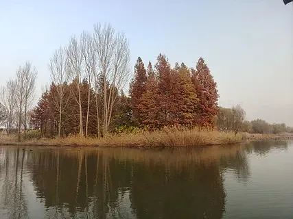 

8PCS Foxeer Dalprop Cyclone T3528 3.5inch 3-Blade Propeller 1.5mm Hole 2mm Hole CW CCW For FPV Racing Toothpick Foxwhoop