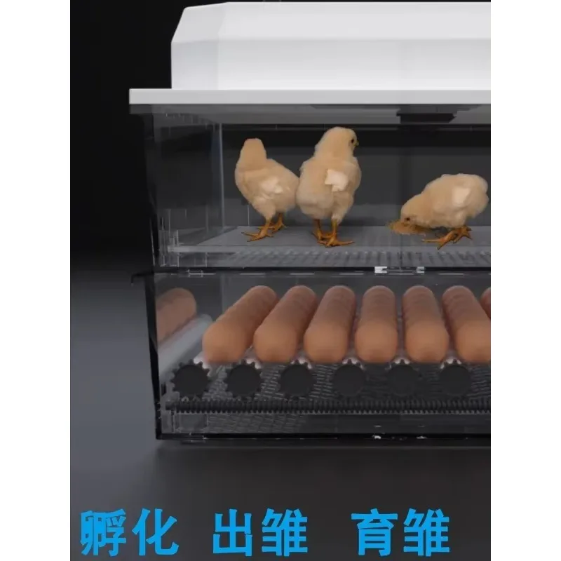 【-special-110-v-】-incubateur-petit-incubateur-domestique