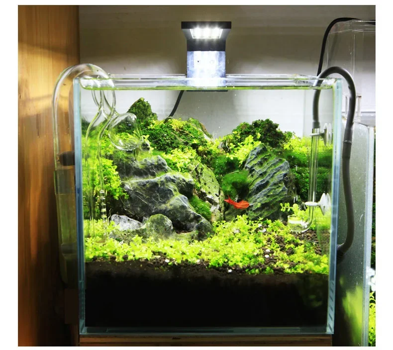 Chihiros C Series ADA Style Plant Grow LED Light Mini Nano Clip Aquarium Water Plant  FishTank - Image 5