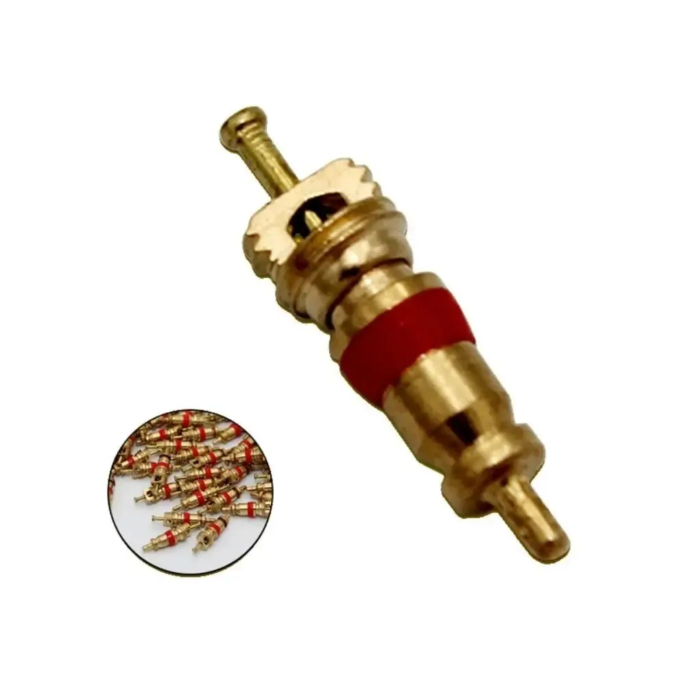 100pcs Copper Tire Valve Core Replacement Tire Repair Tool Tire Exhaust Valve Car Truck Bike Motorcycle Wheel with Zinc Plated