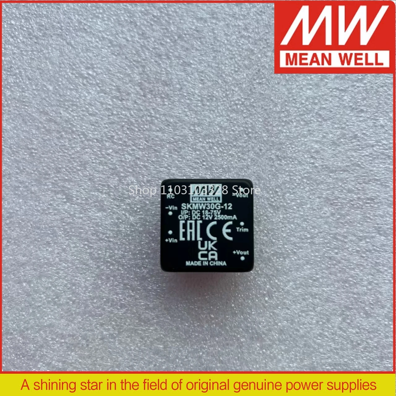 

MEAN WELL 30 Вт, 1 "x 1" в упаковке, регулируемый преобразователь постоянного тока SKMW30F-03 3,3 В SKMW30F-12 12 В DKMW30F-12 DKMW30F-15 SKMW30G-15