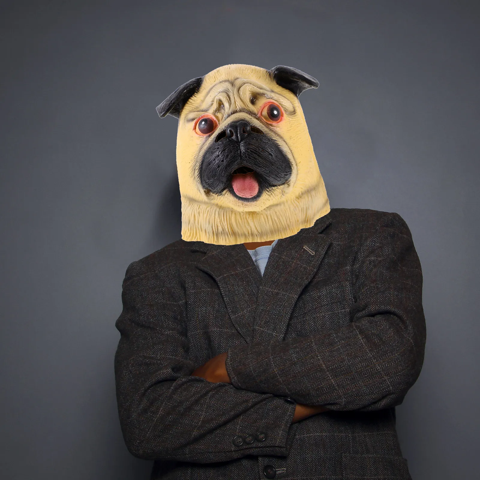 

Eco Friendly Natural Rubber Full Head Dog Mask Lifelike Realistic Breathable Comfortable for Halloween Carnival