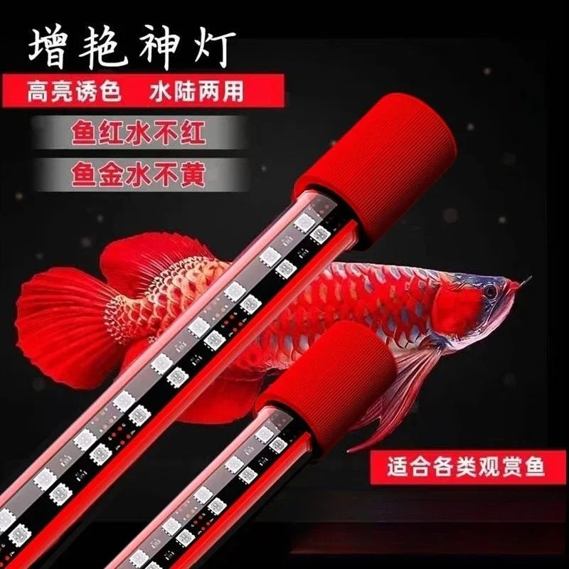 Three primary colors enhanced red dragon fish light, parrot koi diving waterproof LED fish tank light view 3