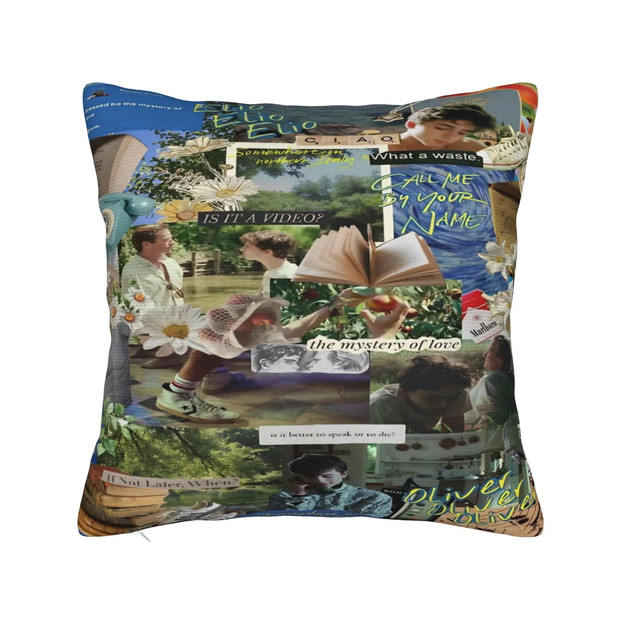 Car Decor Call Me by Your Name Pillowcases Merch  Pillow Cover Zippered Multiple Sizes