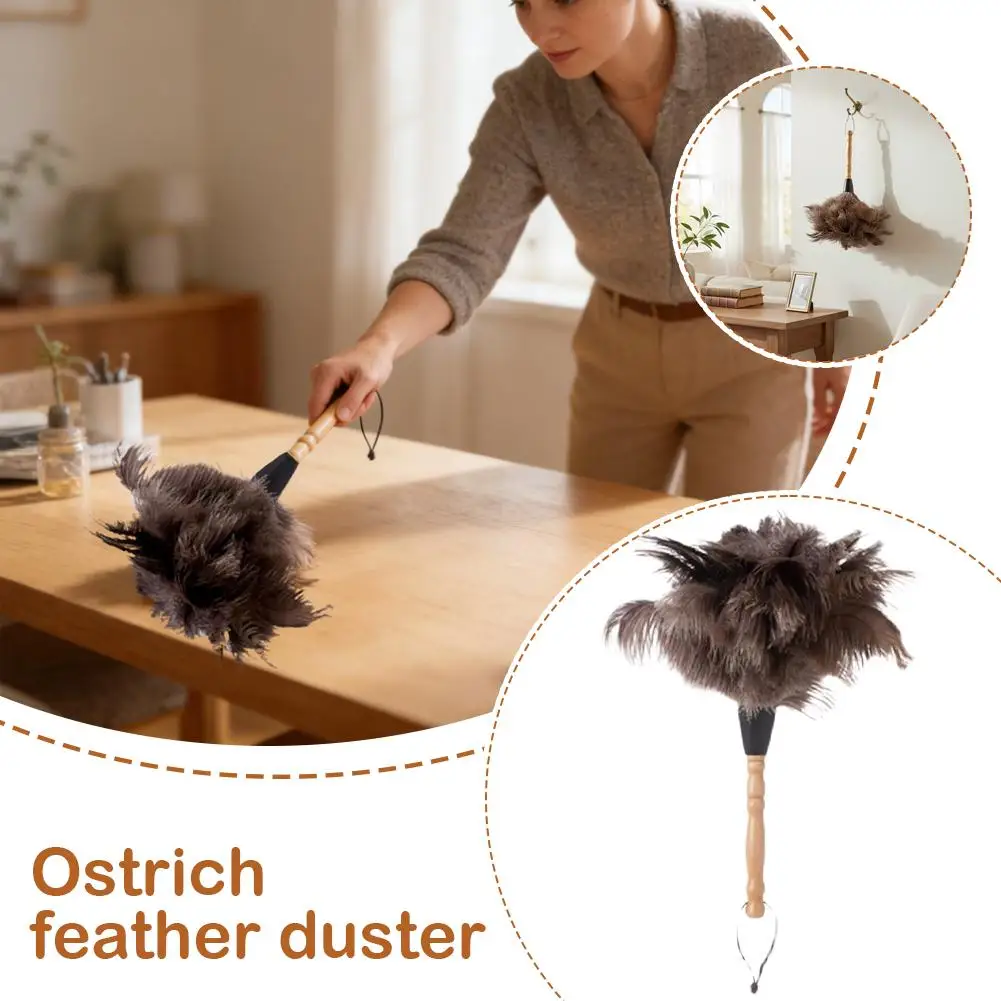 Dust Removal Duster…