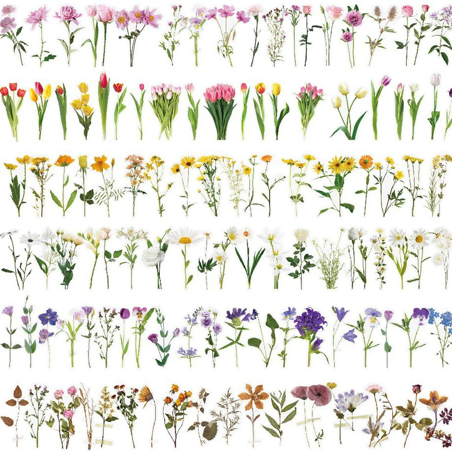 40pcs/Bag Simulated Animal Plant Graffiti Stickers PVC Waterproof Transparent Diary Sticker Creative DIY Decorative Stickers