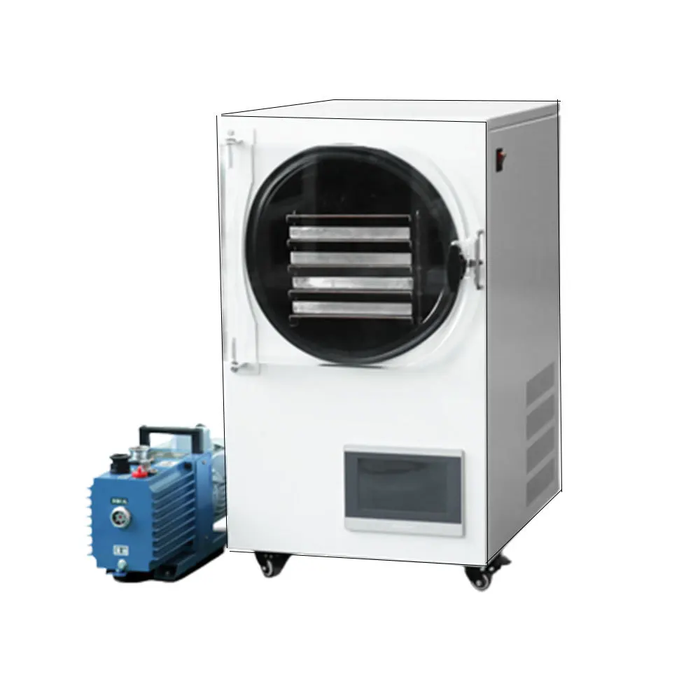 Small Household Freeze Dryer Vacuum Freeze-Drying Equipment For Food Fruits Vegetables And Snacks