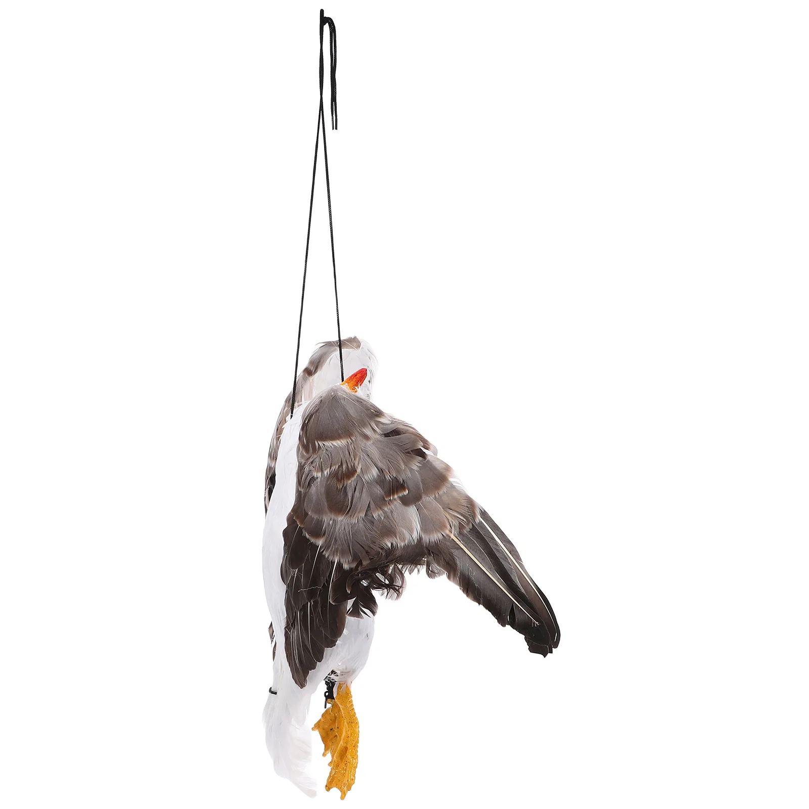 

1Pcs Simulation Dead Seagull 1 1 Size Realistic Decoration Effective Seagull Repellent Hanging Ornament Bird Craft