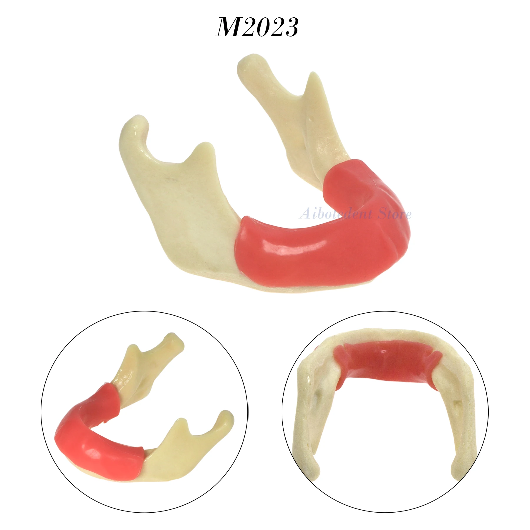 

Dental Teeth Model Implant Practice Training Lower Jawbone Gums Dentistry Education Model M2023