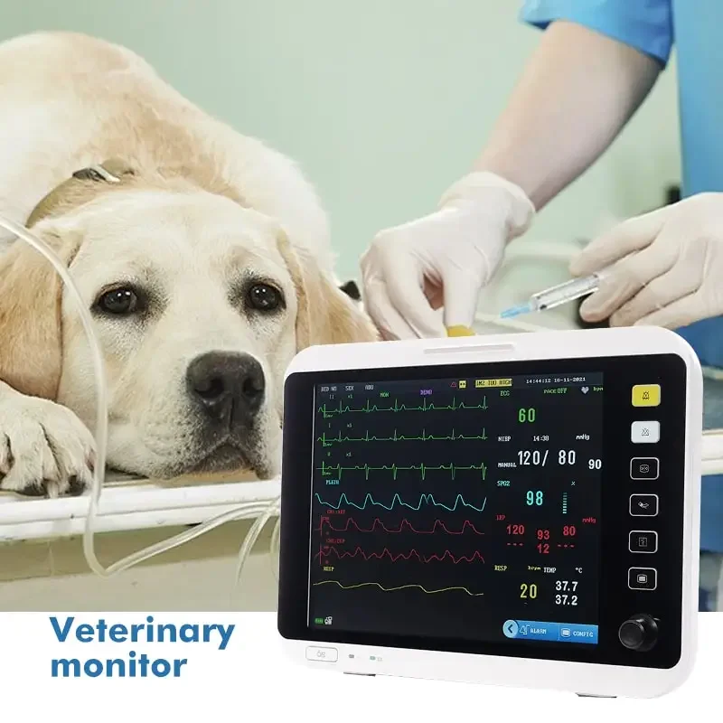 

Pet Clinic Vet Multipara Etco2 Monitor Ecg Resp Nibp, Multiparametro Portable Veterinary Monitor With Multilingual Operation