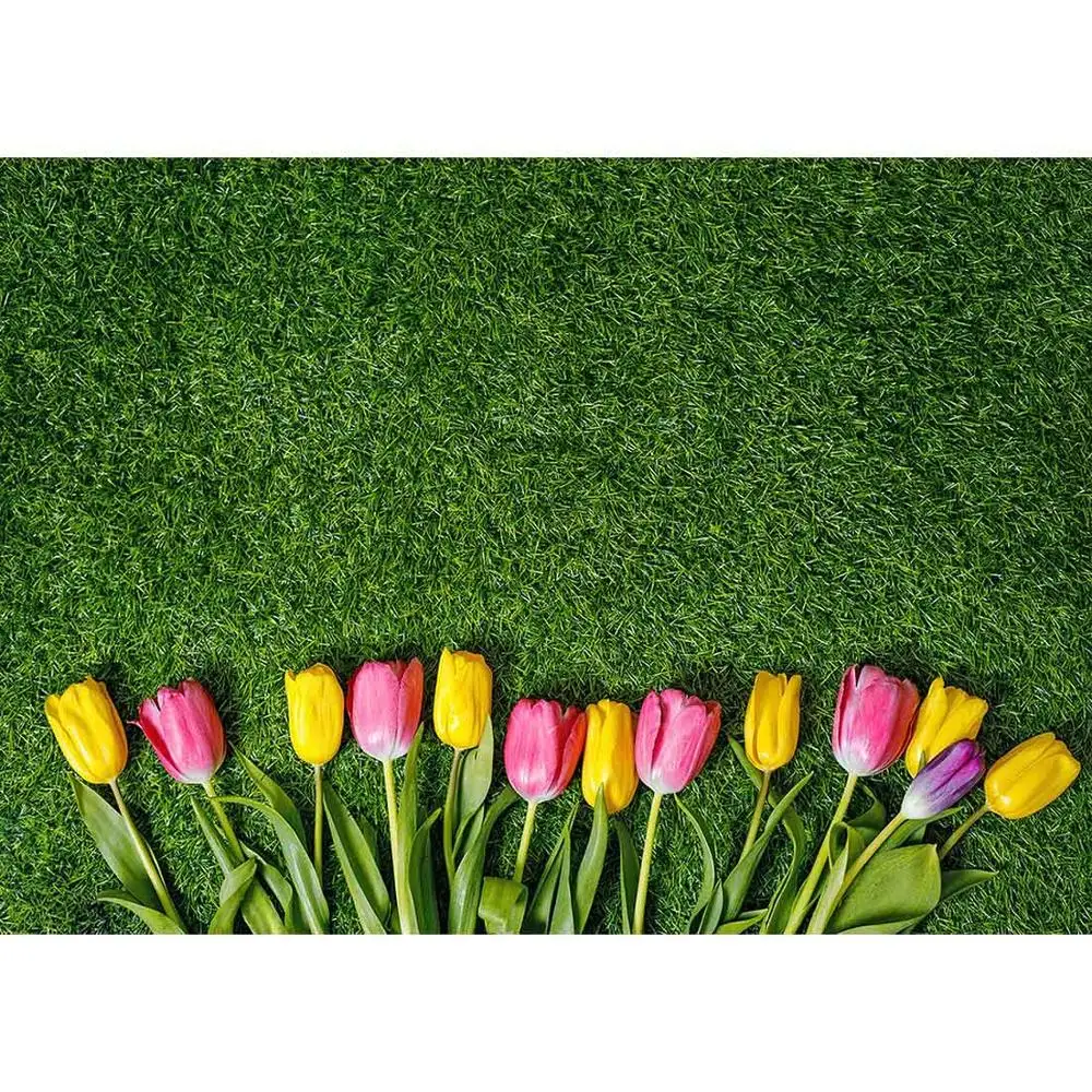 Tulipani prateria sfondi fotografici fondali personalizzati per bambini bambini famiglia festa di pasqua servizio fotografico Studio fotografico