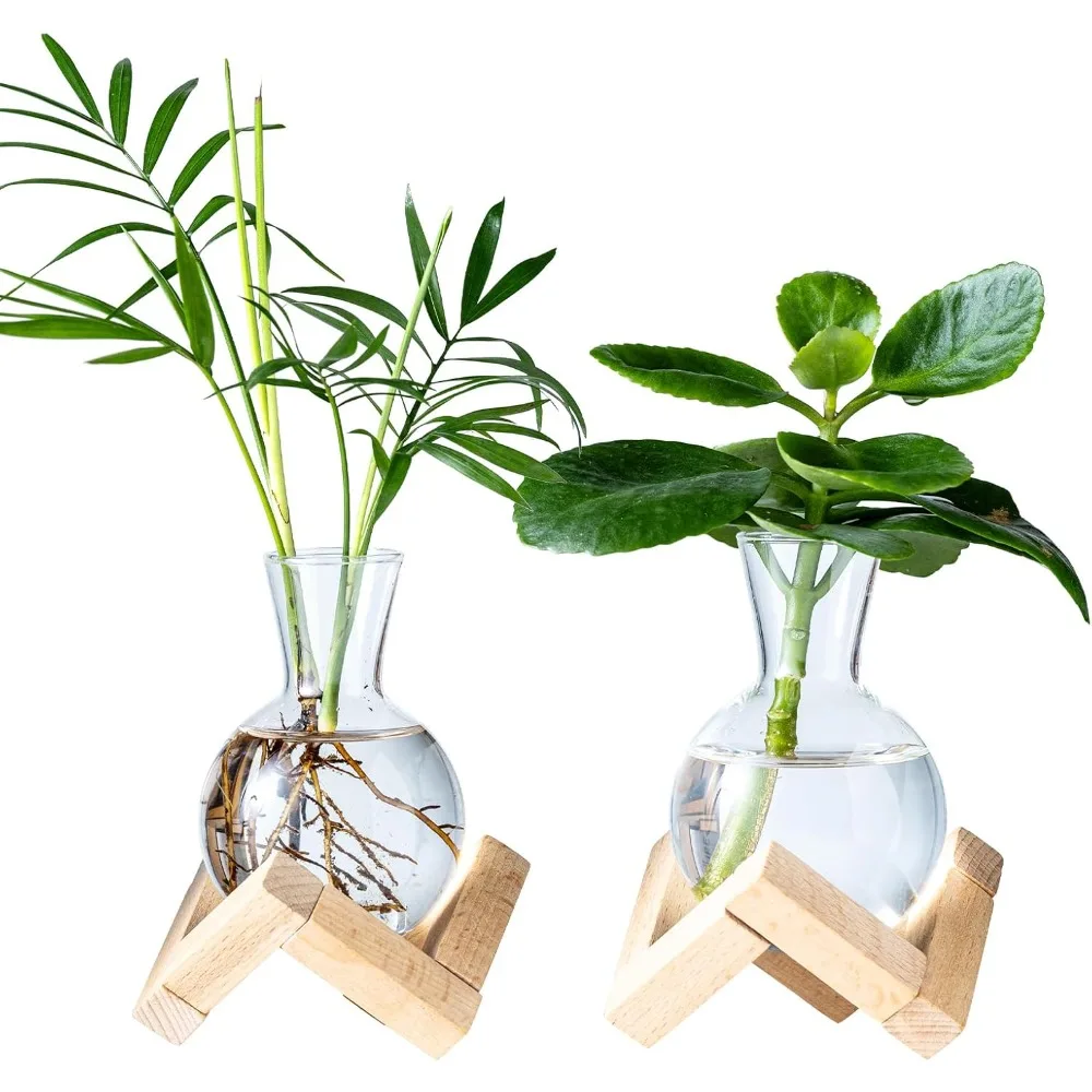 

Propagation Stations, Propagation vases with Wooden Stand, Small Tabletop Glass Bulb Vases