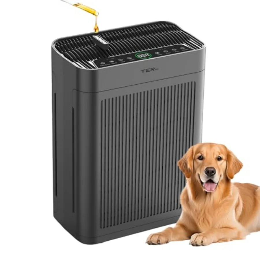 Air Purifiers For H… - image