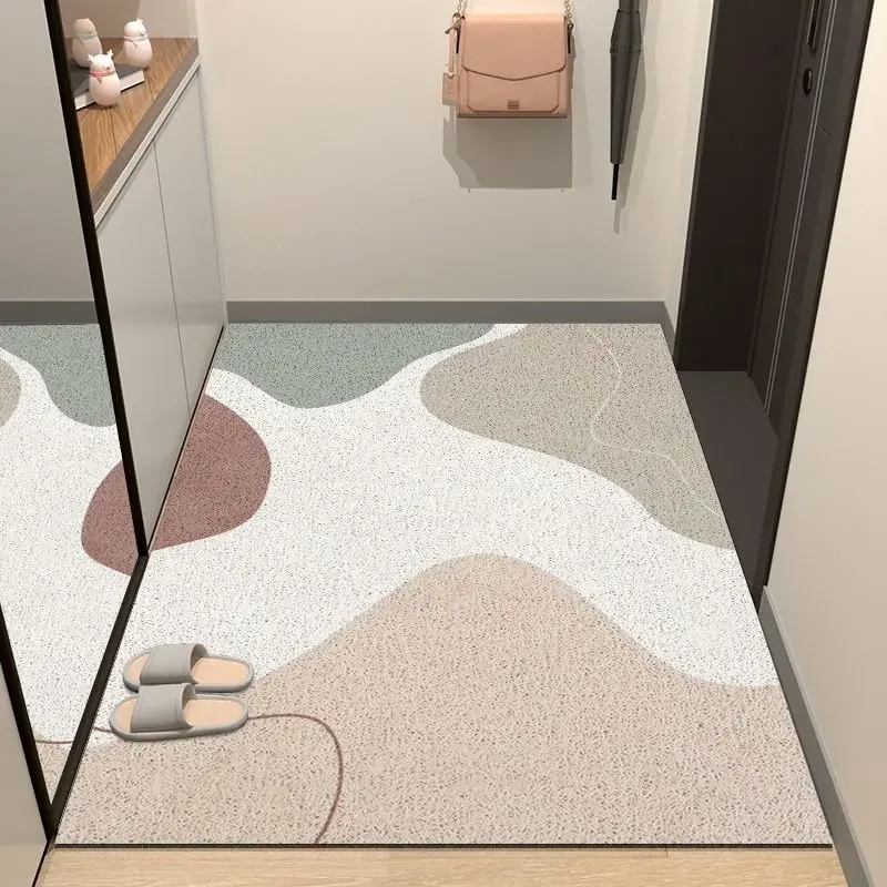 Simple entry door mat floor mat Household door rubbing soil rubbing mud mat Nordic ins wind  porch foot mat