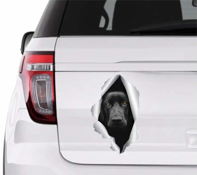 Labrador sticker Black labrador decal Car sticker labrador Labrador car sticker Funny decal Labrador stickers Labrador auto stic