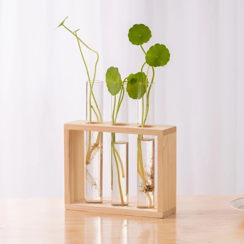 Contenitore per piante idroponiche con struttura in legno provetta in vetro trasparente vaso vaso di fiori decorazioni per Bonsai da tavolo per la