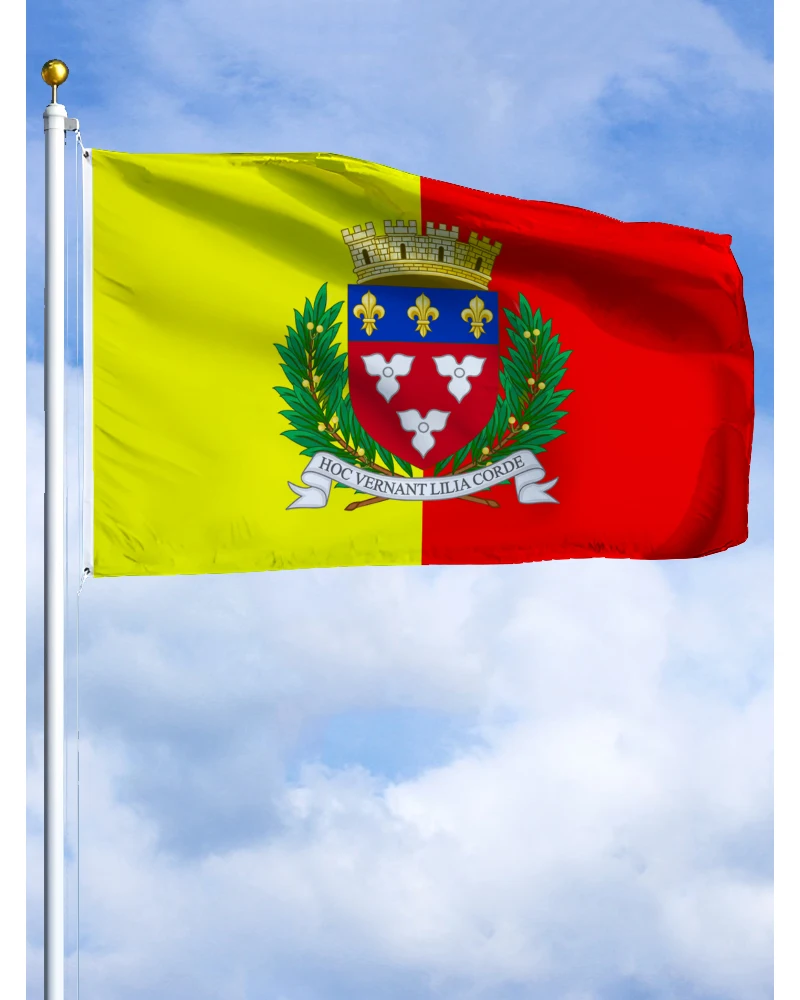 علم Orléans مقاس 3 × 5 أقدام بألوان زاهية ومقاوم للبهتان في منطقة في فرنسا أعلام بوليستر مع حلقات نحاسية