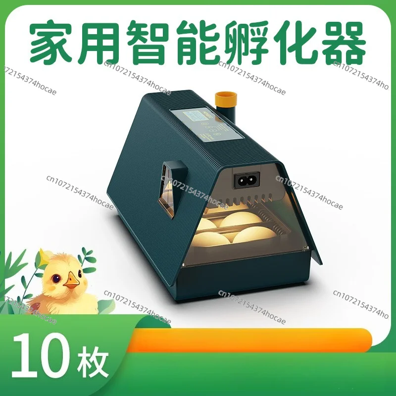 Mini Automatic Egg Incubator with Ambient Light, Household Poultry Hatcher for Chicken Duck Eggs