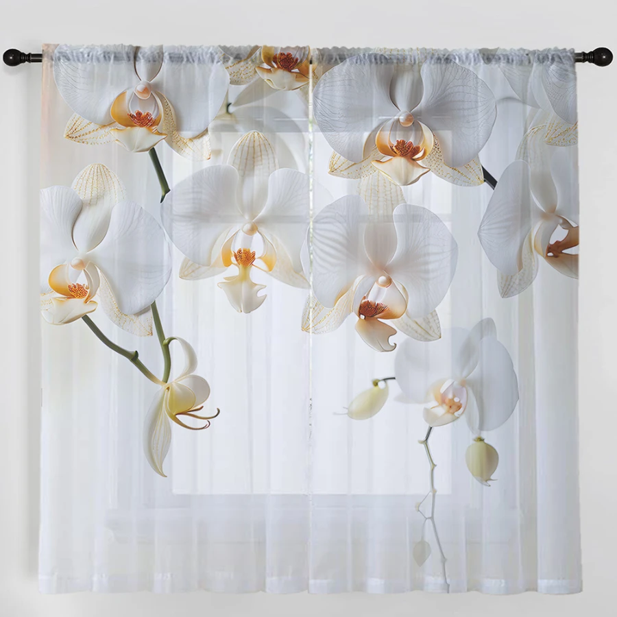 2PCS Cortinas Transparentes co - Home Office Minimalist avaliação e preço