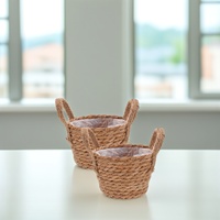 Woven Plant Basket Indoor Durable Seagrass Round Wicker Flower Pot Container Home Office Decorative Storage Planter For Plants