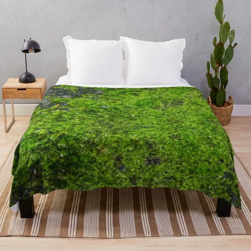 

World of Moss V Throw Blanket Warm Plush Fuzzy Blanket for Living Room