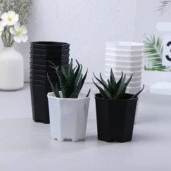 10PCS Simple Octagonal Flowerpot Black White Plastic Solid Small Seedling Pot Desktop Succulent Breathable Pot Decoration