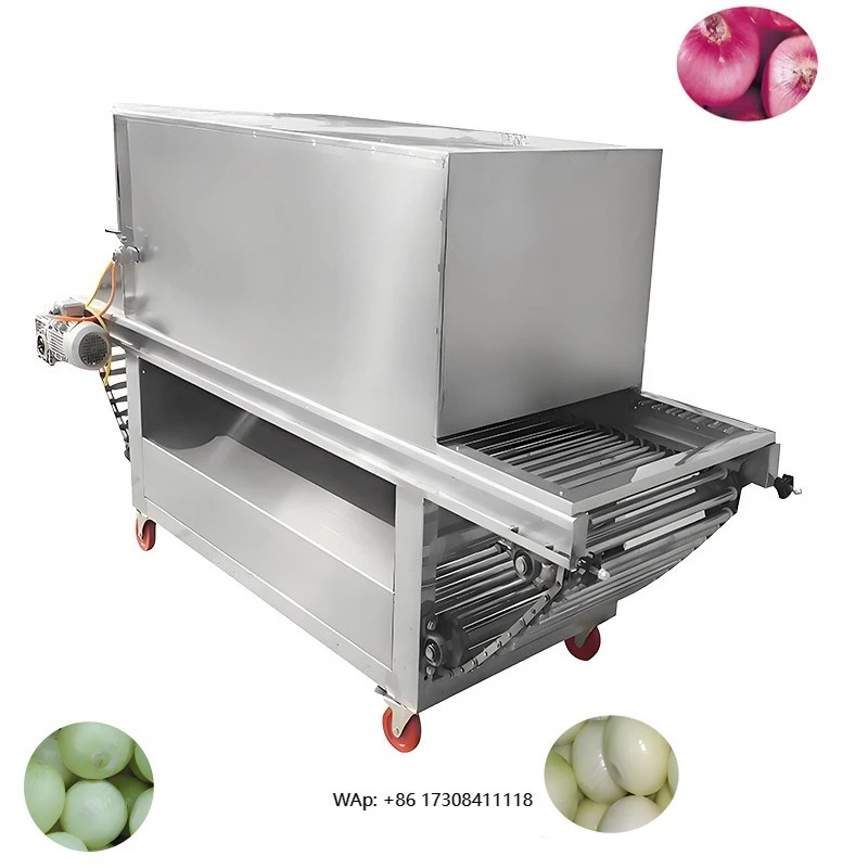 

Large-capacity processing of onion kimchi production with stainless steel onion peeler in vegetable factory