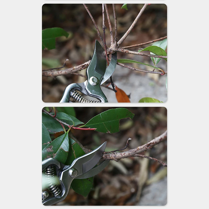 Heavy Pruning Shear Pruners Cutters Pruning Tool Durable Branch Cut Scissors Plant Trimmer Garden Shears Gardening Tools 1Pc