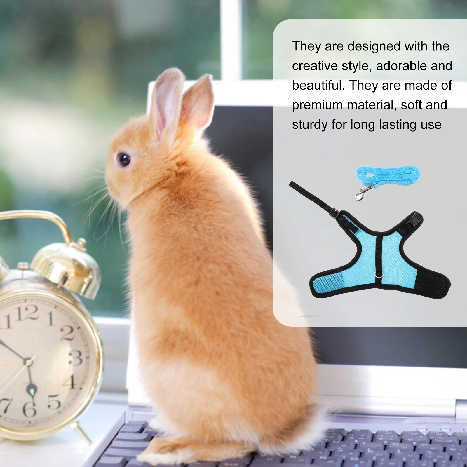 

3pcs Pet Harness Leash Set For Rabbit Ferret Guinea Pig Small Animal Walking Gear Bunny Vest Harness Outdoor Exercise Wedding