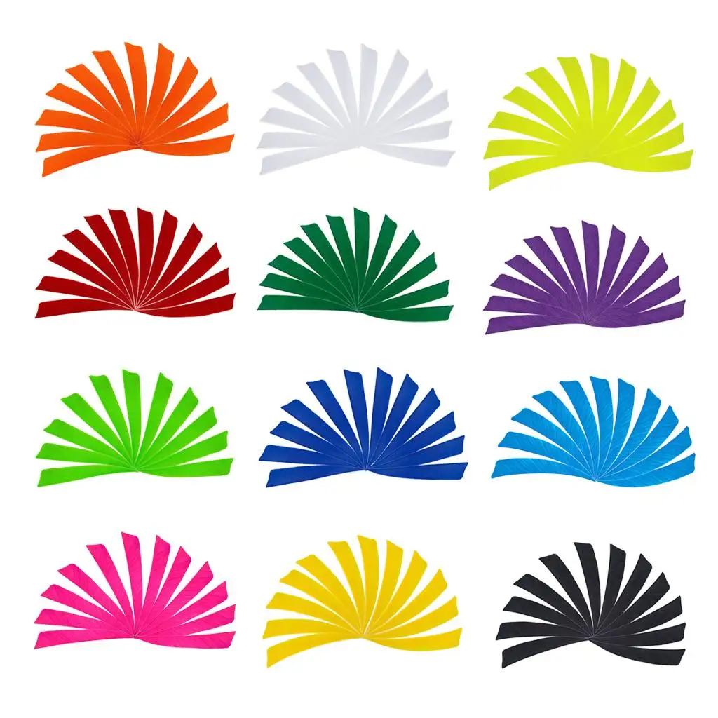 12 Pack Arrows - 4 Inch Natural Turkey Feathers - Fletching DIY Hunting Training