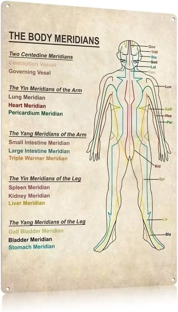 FEBIOAW The Body Meridians Knowledge Poster Therapy Foot Reflexology Chart Trigger Point Wall Art Gift Poster Metal Tin Sig sign