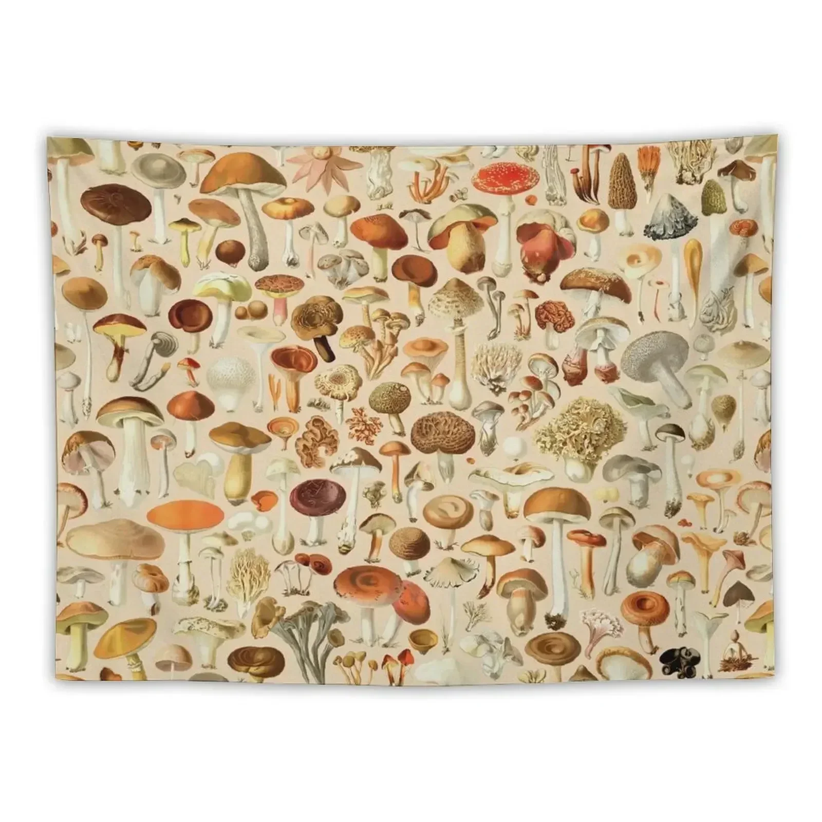 

Vintage Mushroom Designs Collection Tapestry Room Decoration Accessories Room Decoration Aesthetic Tapestry