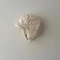 Beige Hat