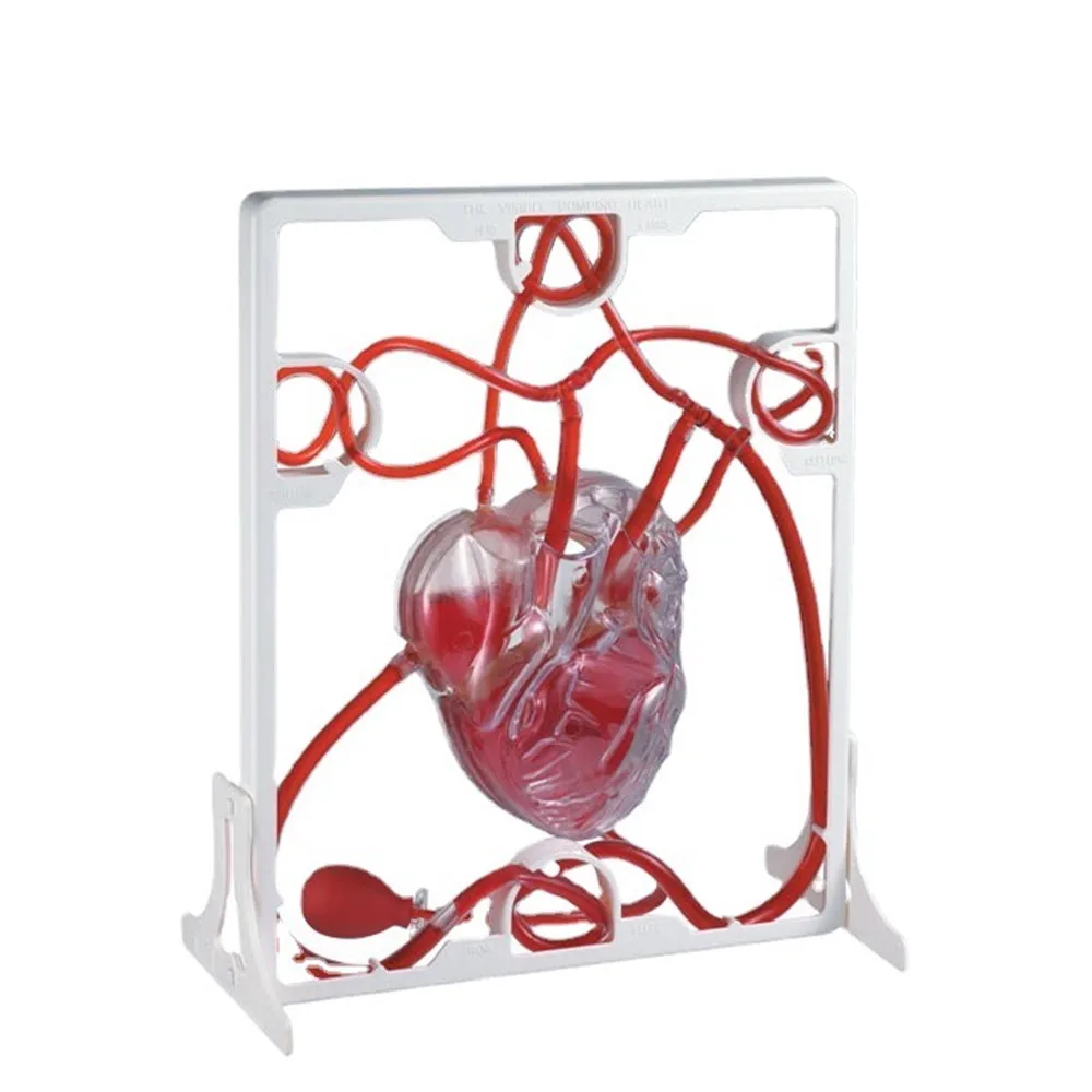 

Medically trained emulator for teaching heart beating cardiovascular surgery practice heart emulator pump