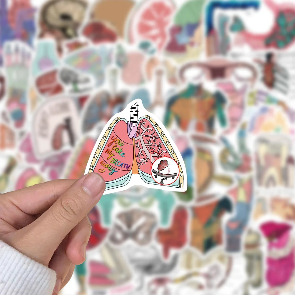 10/30/50 Stuks Anatomie En Fysiologie Lichaamsstructuur Stickers Decoratie Stickers Diy Laptop Bagage Briefpapier Graffiti Sticker Pack