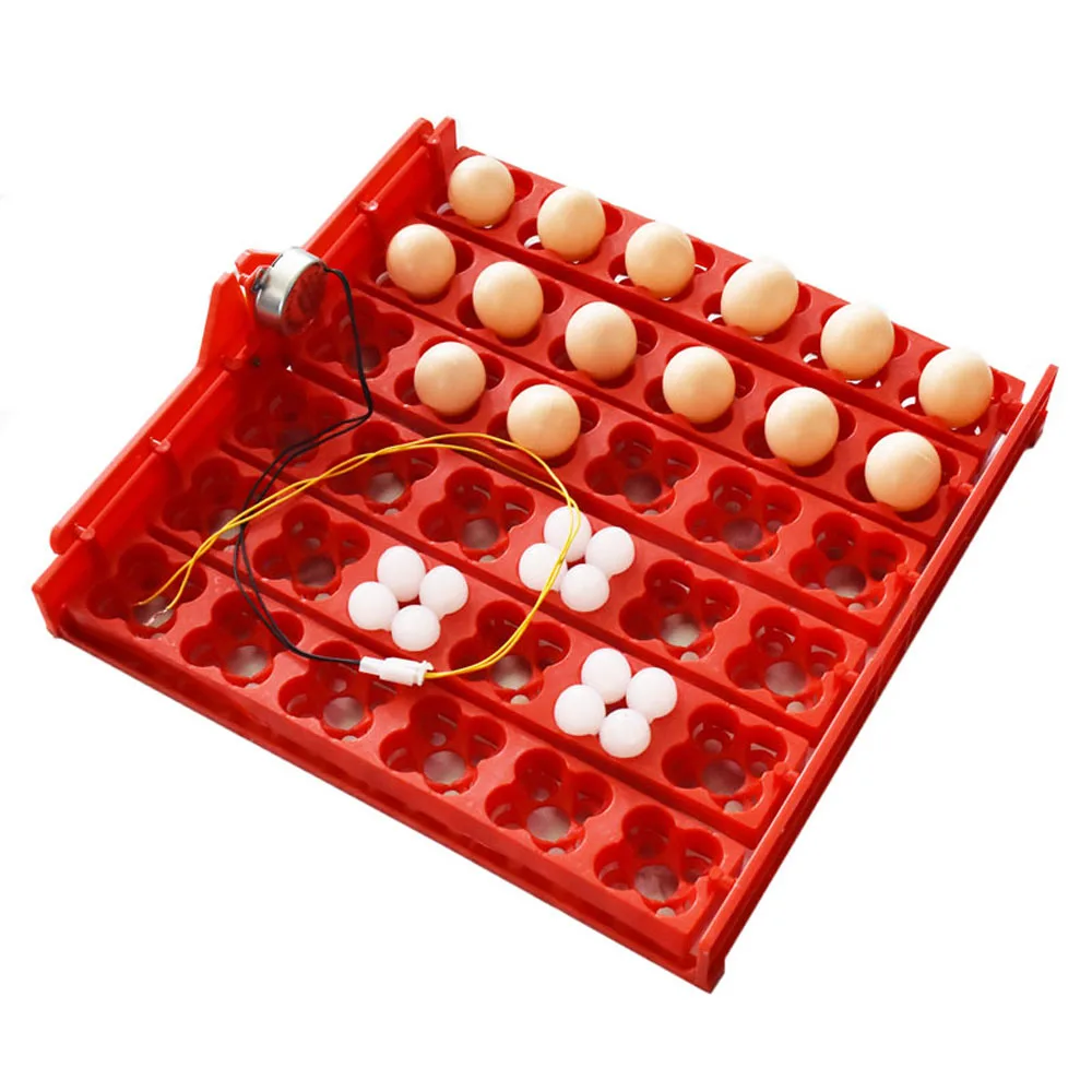 36 Chicken Eggs 144 Quail Eggs Parrot Eggs Egg Incubator Tray Applied Voltage Is 110v / 220v /12v Incubator Accessories