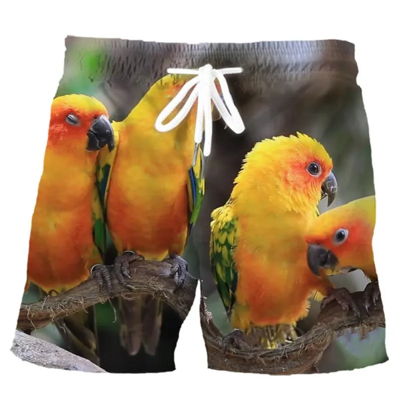 Pantalones cortos de playa con estampado 3D para hombre, bañador con gráfico de loro, traje de baño fresco, ropa de verano