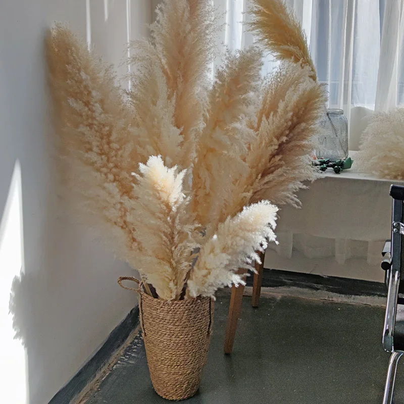 120cm Natural Dry Large Pampas Grass Boho Style Home Country Wedding Decor Tall Fluffy Dried Pampas for Vase Christmas Decor DIY