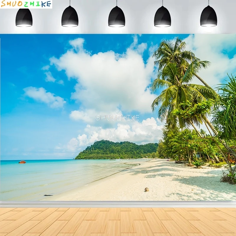 Красивый тропический пейзаж с песчаным пляжем фотографии фонов карибское море голубое небо облака фон для фотостудии SD-02